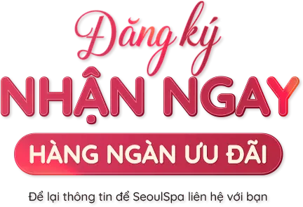 vytranspa.com